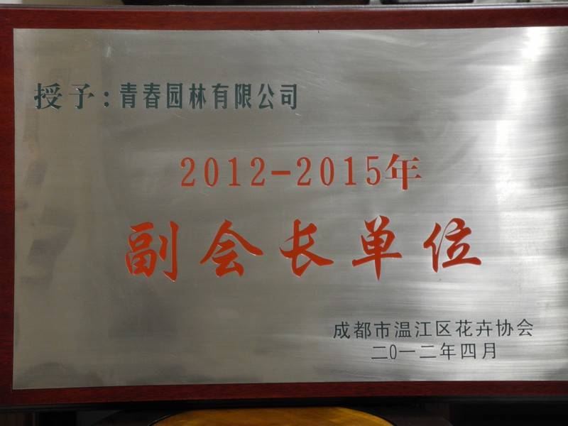 ������Ŵ�ͼ